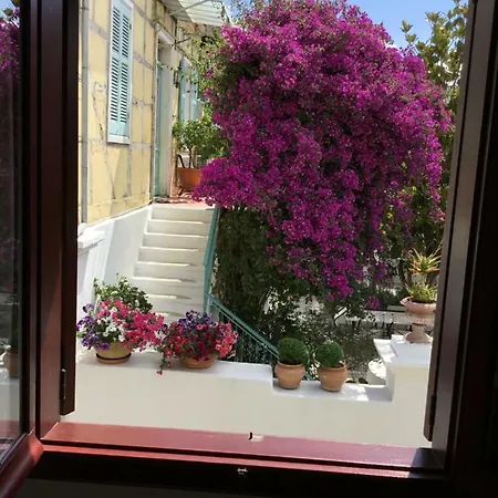 Cabernet * Lefkada City